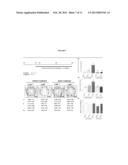 COMPOUNDS AND METHODS FOR INHIBITING SEROTONIN SYNTHESIS diagram and image