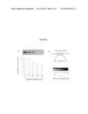 COMPOUNDS AND METHODS FOR INHIBITING SEROTONIN SYNTHESIS diagram and image