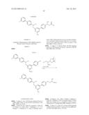 COMPOUNDS AND METHODS FOR INHIBITING SEROTONIN SYNTHESIS diagram and image