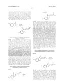 INHIBITORS OF BETA-SECRETASE diagram and image