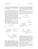 INHIBITORS OF BETA-SECRETASE diagram and image