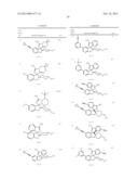 INHIBITORS OF BETA-SECRETASE diagram and image