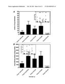 IRREVERSIBLE INHIBITORS USEFUL FOR THE TREATMENT OF KINASE-RELATED     PATHOLOGIES diagram and image