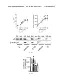 Methods of Treating Alcohol Intoxication, Alcohol Use Disorders and     Alcohol Abuse Which Comprises the Administration of Dihydromyricetin diagram and image