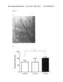 PHARMACEUTICAL COMPOSITIONS COMPRISING LIGNANS AND THEIR DERIVATIVES FOR     THE MEDICAL MANAGEMENT OF ANGIOGENESIS AND HYPOVASCULARITY diagram and image