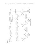 PHARMACEUTICAL COMPOSITIONS COMPRISING LIGNANS AND THEIR DERIVATIVES FOR     THE MEDICAL MANAGEMENT OF ANGIOGENESIS AND HYPOVASCULARITY diagram and image