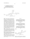 PRODRUG OF TRIAZOLONE COMPOUND diagram and image