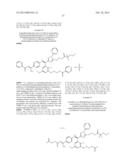 PRODRUG OF TRIAZOLONE COMPOUND diagram and image