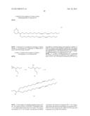 Novel Cationic Lipids for Oligonucleotide Delivery diagram and image