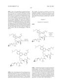 ANTIVIRAL COMPOUNDS diagram and image