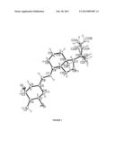 Crystallization of     1alpha-Hydroxy-20-Methyl-2-Methylene-19,24,25,26,27-Pentanorvitamin D3 diagram and image