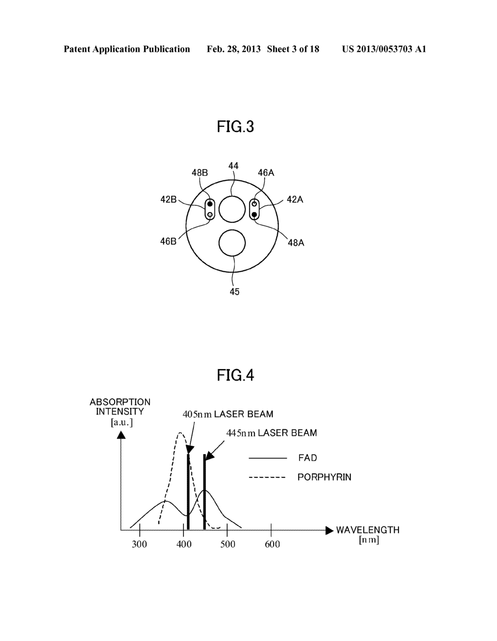 ENDOSCOPIC DIAGNOSIS SYSTEM - diagram, schematic, and image 04