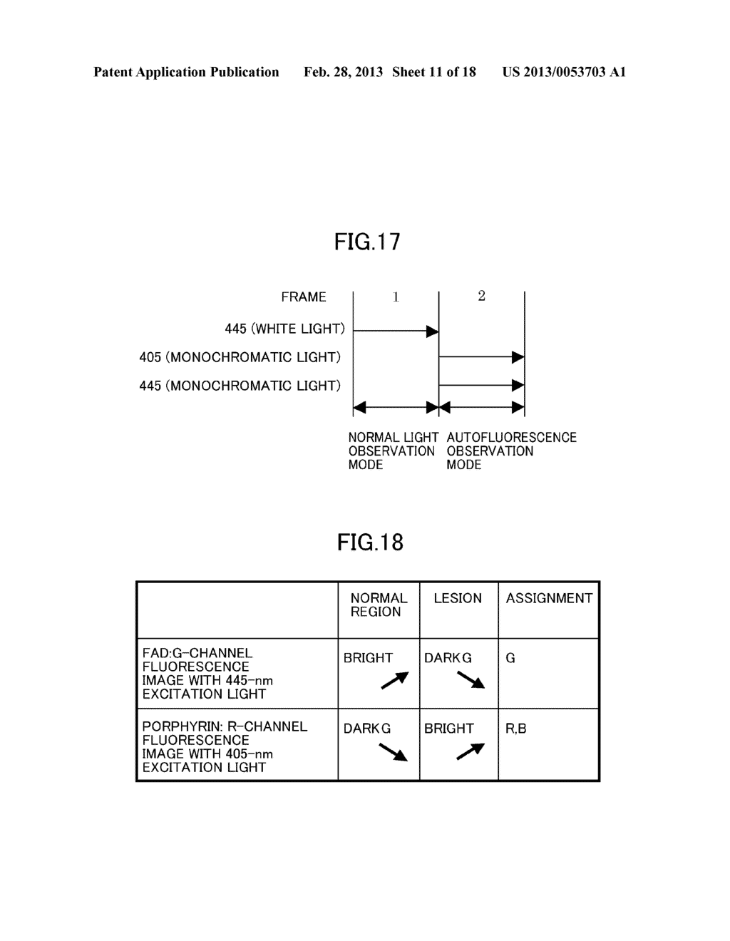 ENDOSCOPIC DIAGNOSIS SYSTEM - diagram, schematic, and image 12