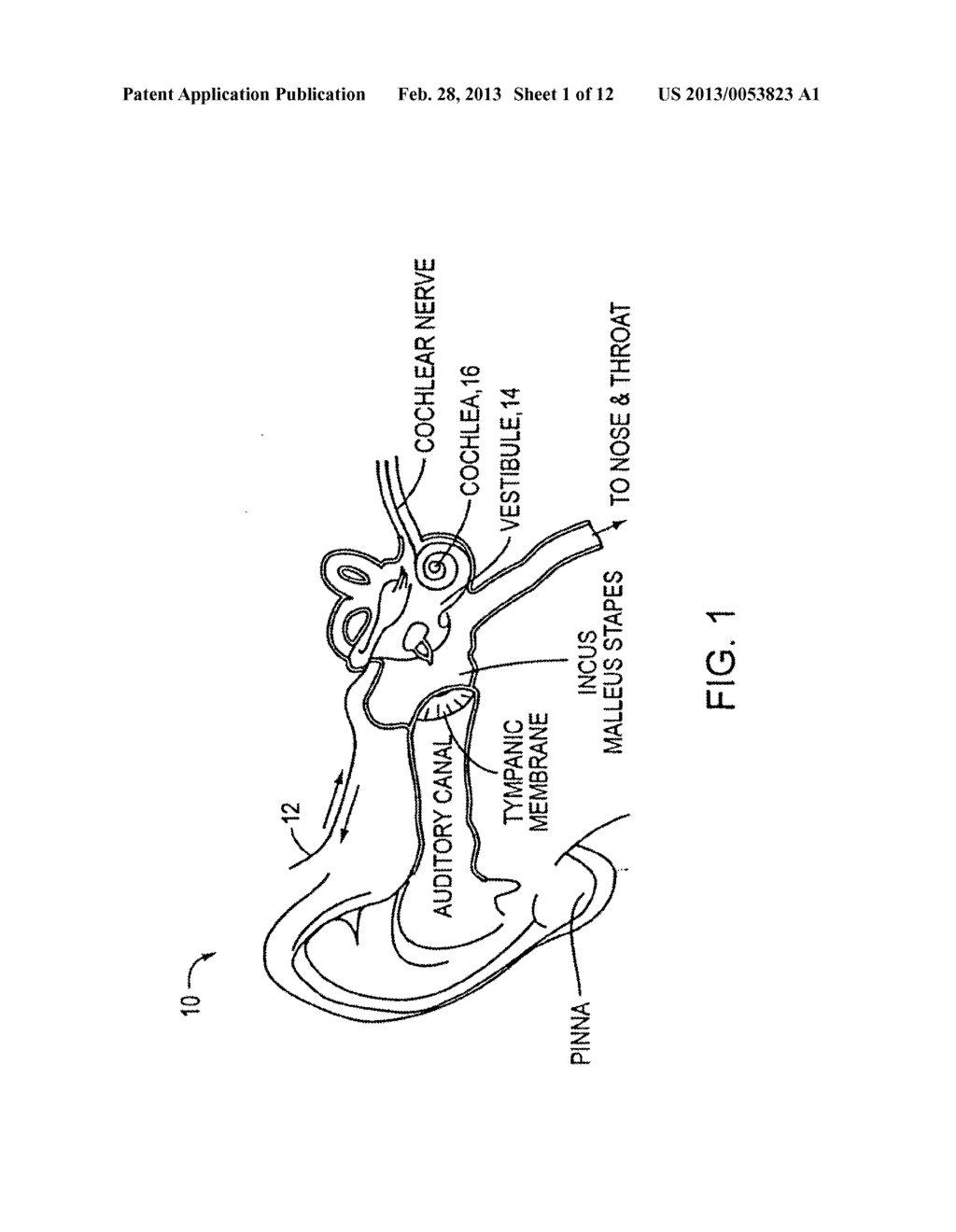 Drug Delivery Apparatus - diagram, schematic, and image 02