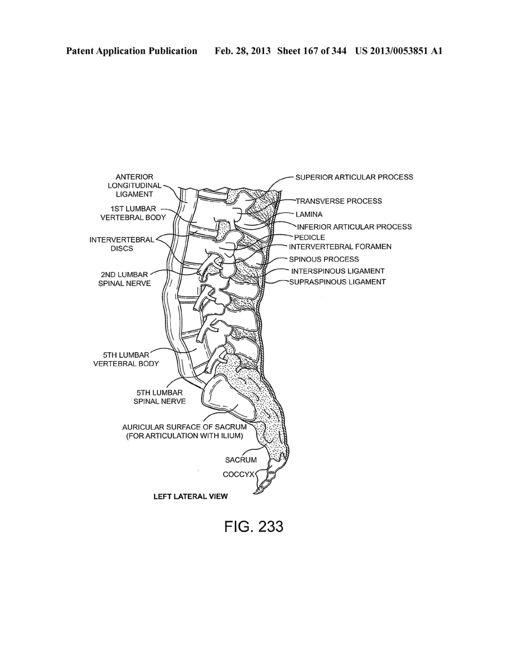 ACCESS AND TISSUE MODIFICATION SYSTEMS AND METHODS - diagram, schematic, and image 169