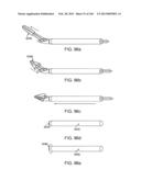 ACCESS AND TISSUE MODIFICATION SYSTEMS AND METHODS diagram and image