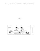 METHOD AND TERMINAL FOR AUTHENTICATING BETWEEN DRM AGENTS FOR MOVING RO diagram and image