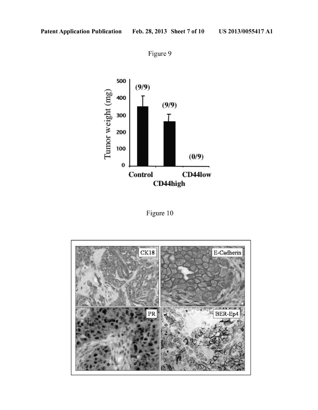 HORMONE RESPONSIVE TISSUE CULTURE SYSTEM AND USES THEREOF - diagram, schematic, and image 08