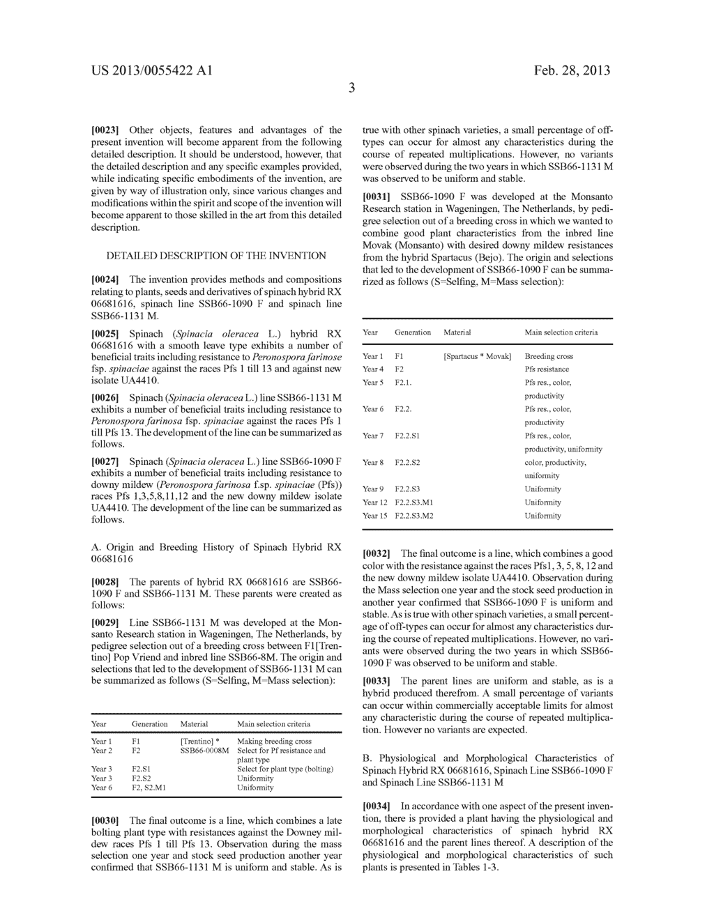 SPINACH HYBRID RX 06681616 AND PARENTS THEREOF - diagram, schematic, and image 04