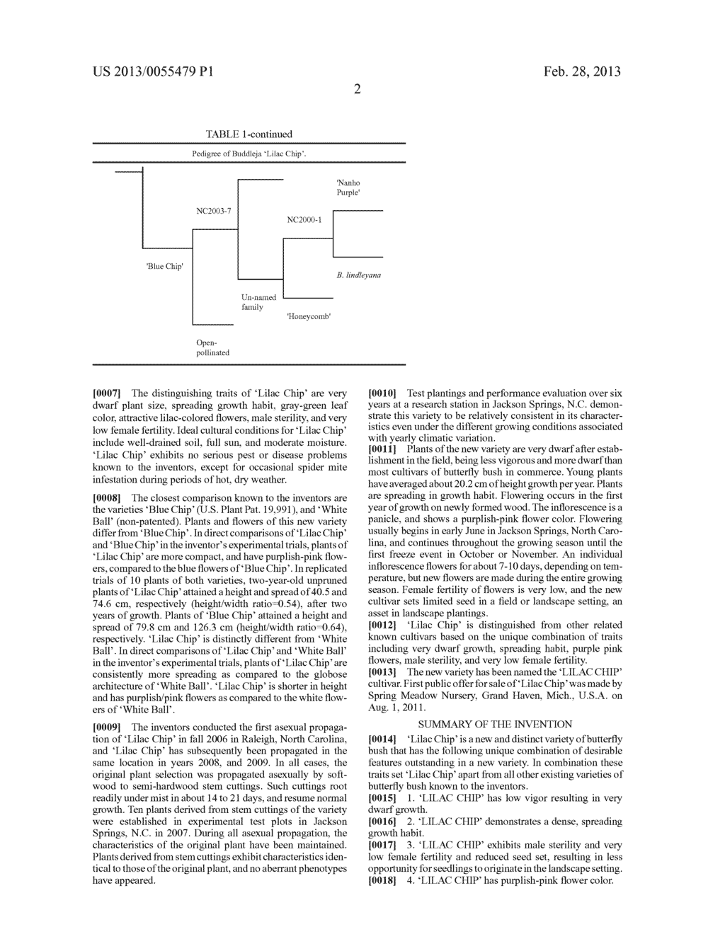 Buddleja plant named 'Lilac Chip' - diagram, schematic, and image 02