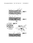 Shoe-Reinforcement Material and Barrier Unit, Composite Shoe Sole, and     Footwear Constituted Thereof diagram and image