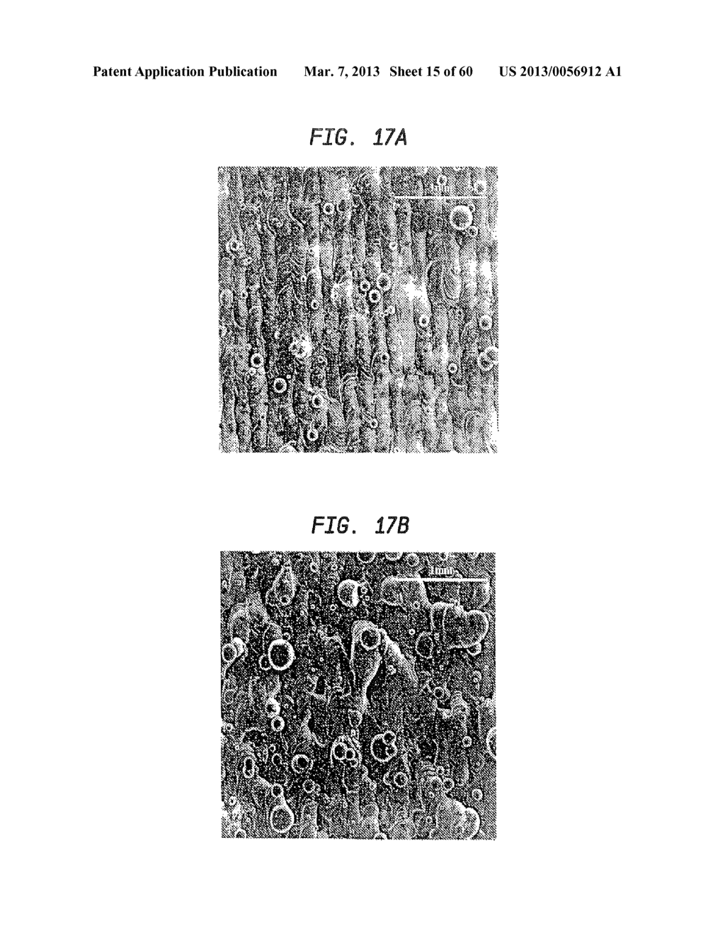 LASER-PRODUCED POROUS SURFACE - diagram, schematic, and image 16