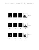 GESTURE RECOGNITION SYSTEM USING DEPTH PERCEPTIVE SENSORS diagram and image