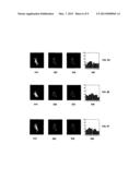 GESTURE RECOGNITION SYSTEM USING DEPTH PERCEPTIVE SENSORS diagram and image