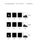 GESTURE RECOGNITION SYSTEM USING DEPTH PERCEPTIVE SENSORS diagram and image