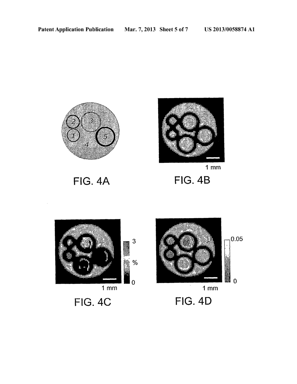 CHEMICAL EXCHANGE SATURATION TRANSFER BASED MRI USING REPORTER GENES AND     MRI METHODS RELATED THERETO - diagram, schematic, and image 06