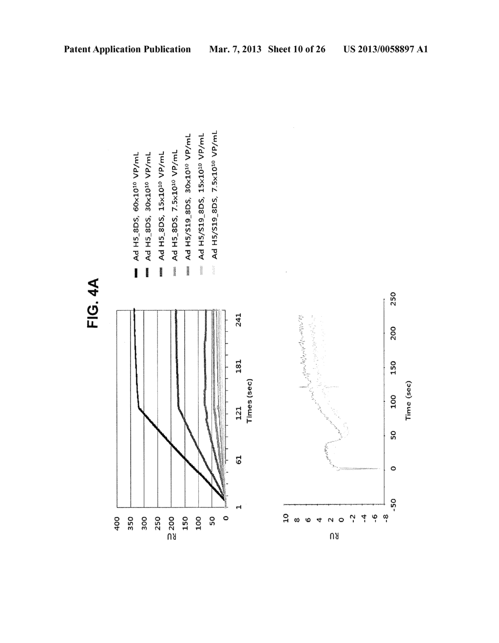 HEXON ISOLATED FROM SIMIAN ADENOVIRUS SEROTYPE 19, HYPERVARIABLE REGION     THEREOF AND CHIMERIC ADENOVIRUS USING THE SAME - diagram, schematic, and image 11