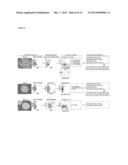 Angiohematopoietic Progenitor Cells diagram and image