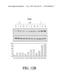 ANTIGEN BINDING PROTEINS TO PROPROTEIN CONVERTASE SUBTILISIN KEXIN TYPE 9     (PCSK9) diagram and image