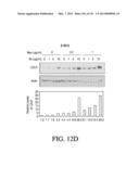 ANTIGEN BINDING PROTEINS TO PROPROTEIN CONVERTASE SUBTILISIN KEXIN TYPE 9     (PCSK9) diagram and image