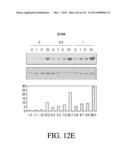 ANTIGEN BINDING PROTEINS TO PROPROTEIN CONVERTASE SUBTILISIN KEXIN TYPE 9     (PCSK9) diagram and image