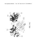 ANTIGEN BINDING PROTEINS TO PROPROTEIN CONVERTASE SUBTILISIN KEXIN TYPE 9     (PCSK9) diagram and image