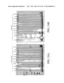 ANTIGEN BINDING PROTEINS TO PROPROTEIN CONVERTASE SUBTILISIN KEXIN TYPE 9     (PCSK9) diagram and image