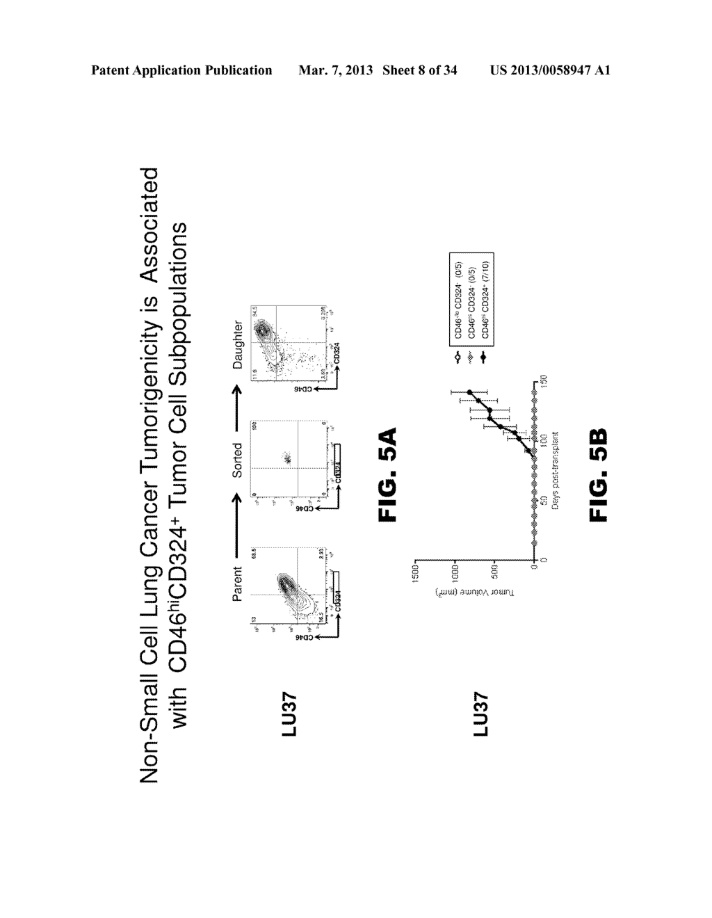 Novel Modulators and Methods of Use - diagram, schematic, and image 09