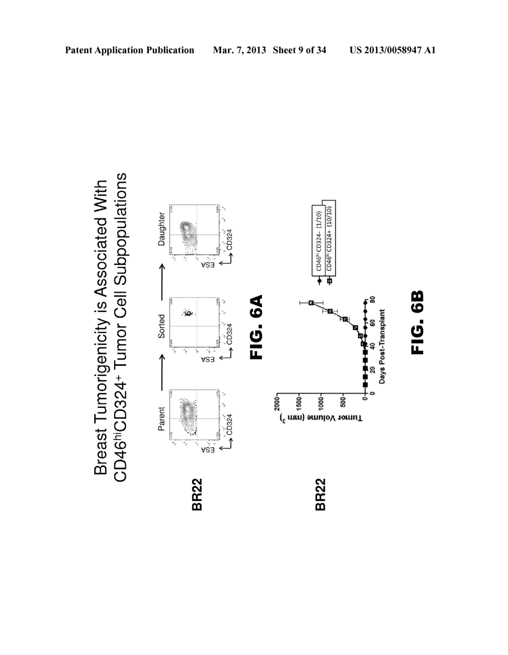 Novel Modulators and Methods of Use - diagram, schematic, and image 10