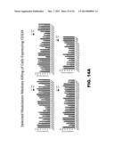 Novel Modulators and Methods of Use diagram and image