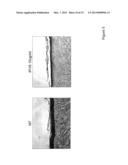 EXTRACELLULAR IFI16 AS THERAPEUTIC AGENTS diagram and image