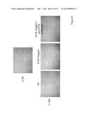 EXTRACELLULAR IFI16 AS THERAPEUTIC AGENTS diagram and image