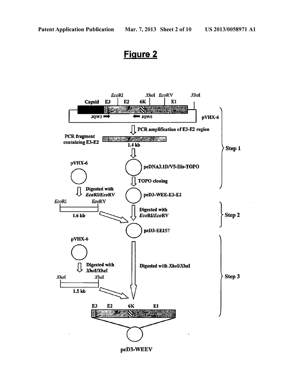 INNOCULATION OF RECOMBINANT VIRAL VECTORS FOR RAPID PRE-EXPOSURE     PREVENTION AND POST-EXPOSURE PROTECTION AGAINST ALPHAVIRUS-INDUCED     ENCEPHALITIDES - diagram, schematic, and image 03