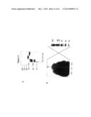 METHODS FOR REGULATING COMPLEMENT CASCADE PROTEINS USING ASTROVIRUS COAT     PROTEIN AND DERIVATIVES THEREOF diagram and image