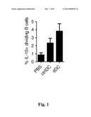 INDUCED TOLEROGENIC DENDRITIC CELLS FOR INDUCING REGULATORY B CELLS diagram and image