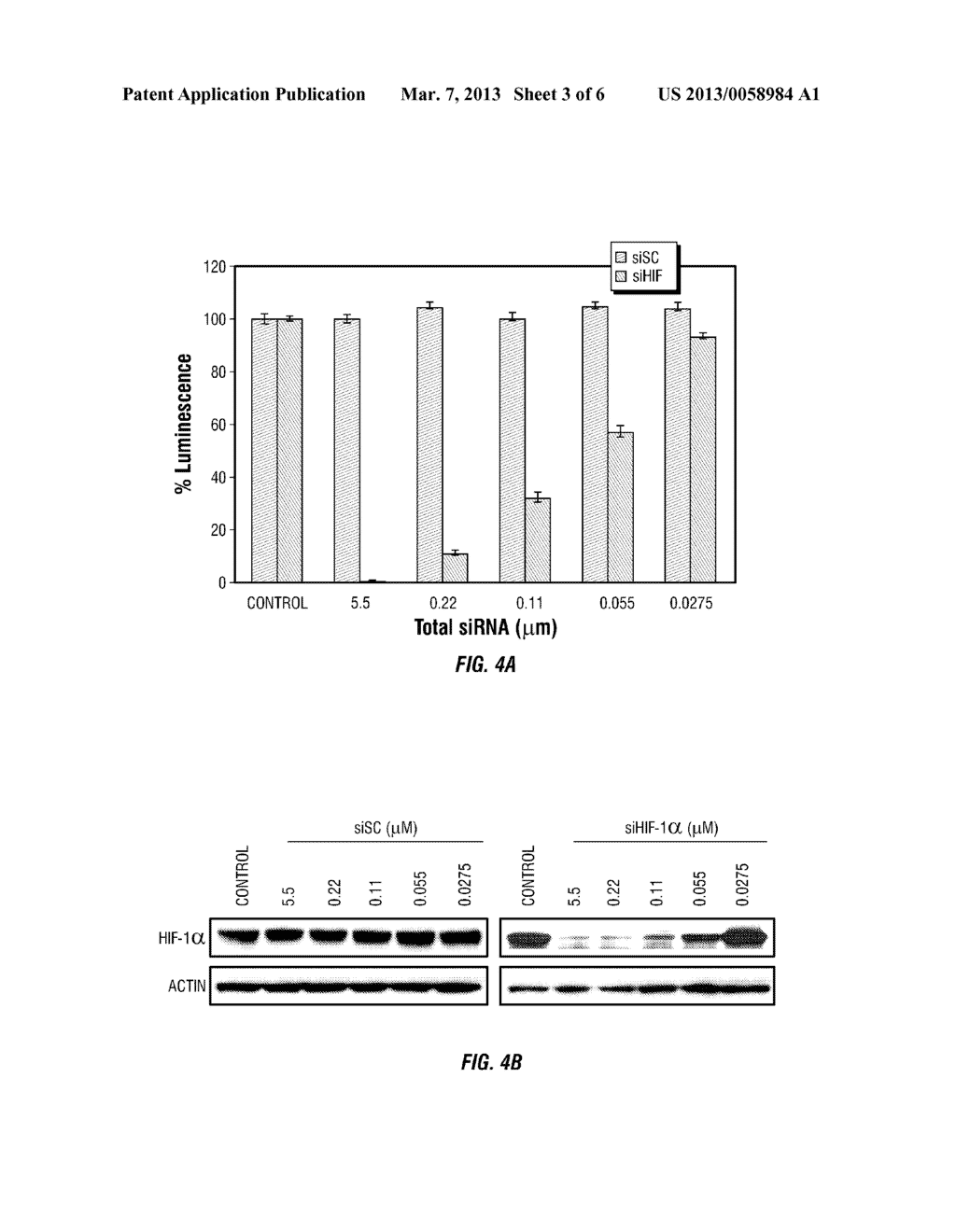 SINGLE-WALLED CARBON NANOTUBE/BIOACTIVE SUBSTANCE COMPLEXES AND METHODS     RELATED THERETO - diagram, schematic, and image 04