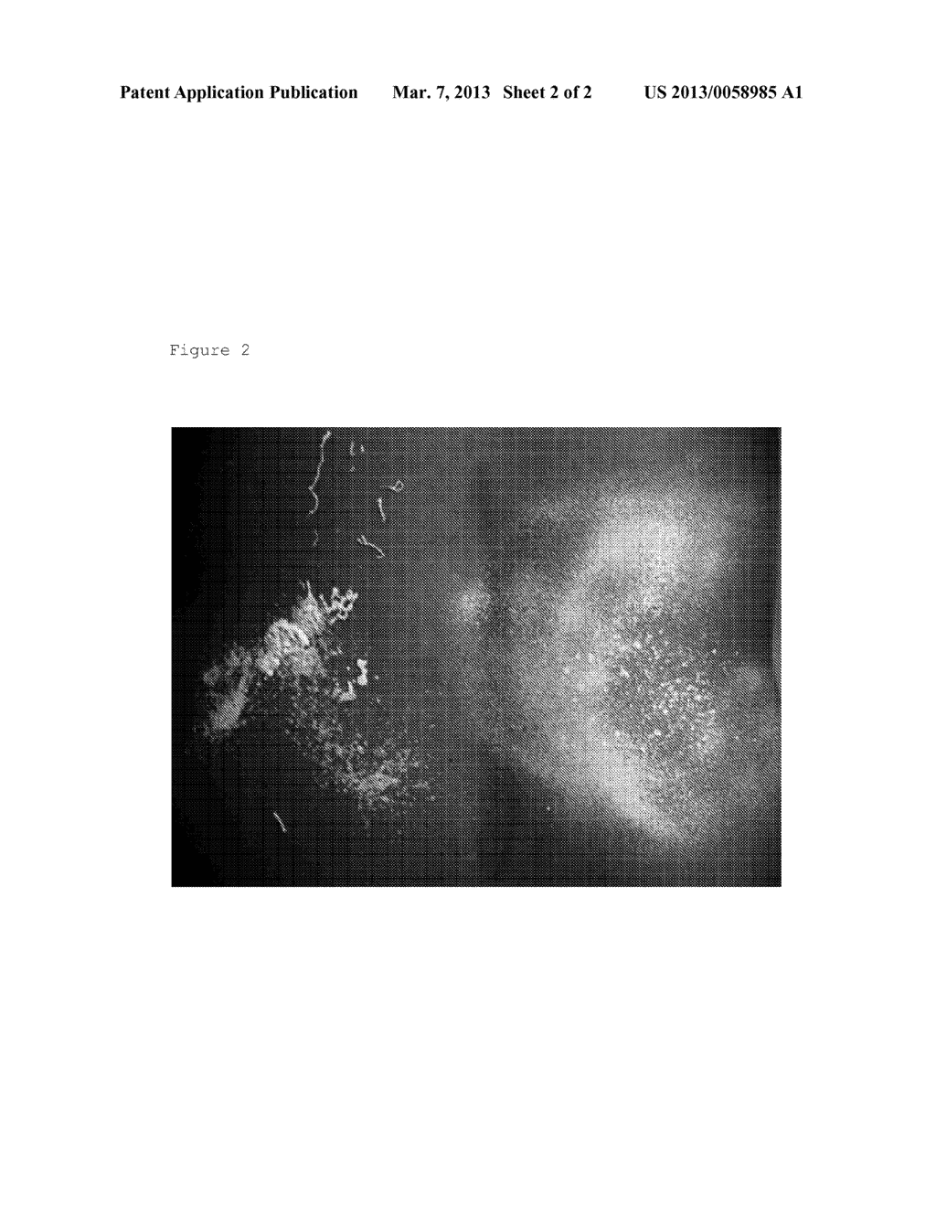 Spray-Pumpable Composition Suitable for Topical Skin Application - diagram, schematic, and image 03