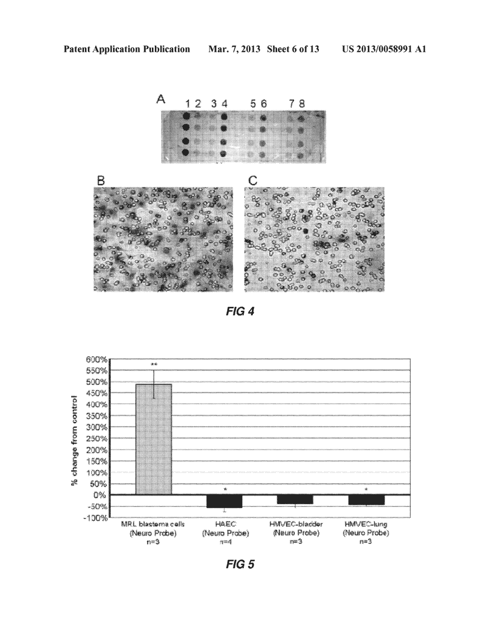 MATRICRYPTIC ECM PEPTIDES FOR TISSUE RECONSTRUCTION - diagram, schematic, and image 07