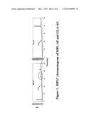 VACCINE COMPOSITION CONTAINING SYNTHETIC ADJUVANT diagram and image