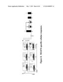 VACCINE COMPOSITION CONTAINING SYNTHETIC ADJUVANT diagram and image